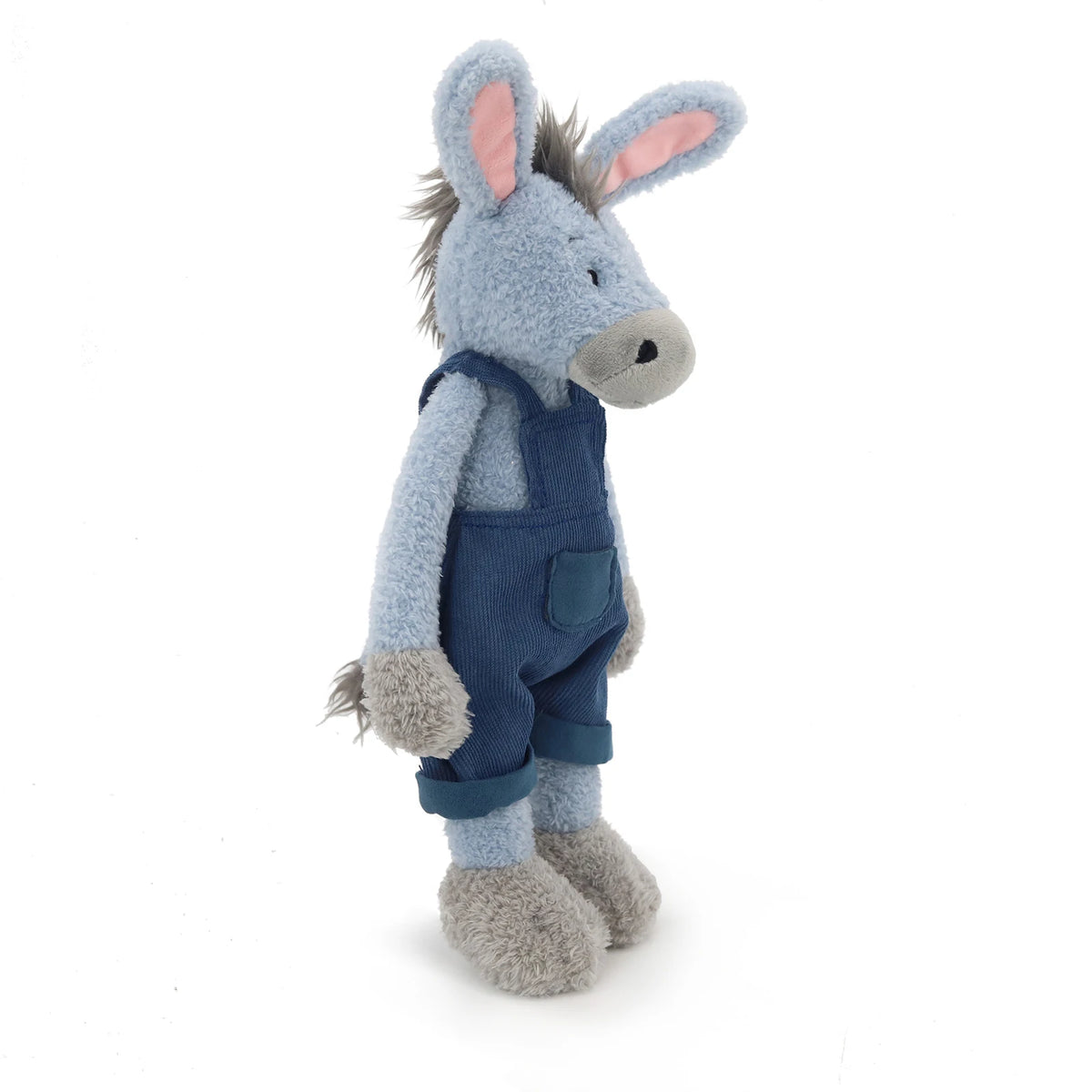 Thomas the Donkey