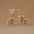 1:12 Miniature Simulation Furniture Metal Tricycle for Doll House