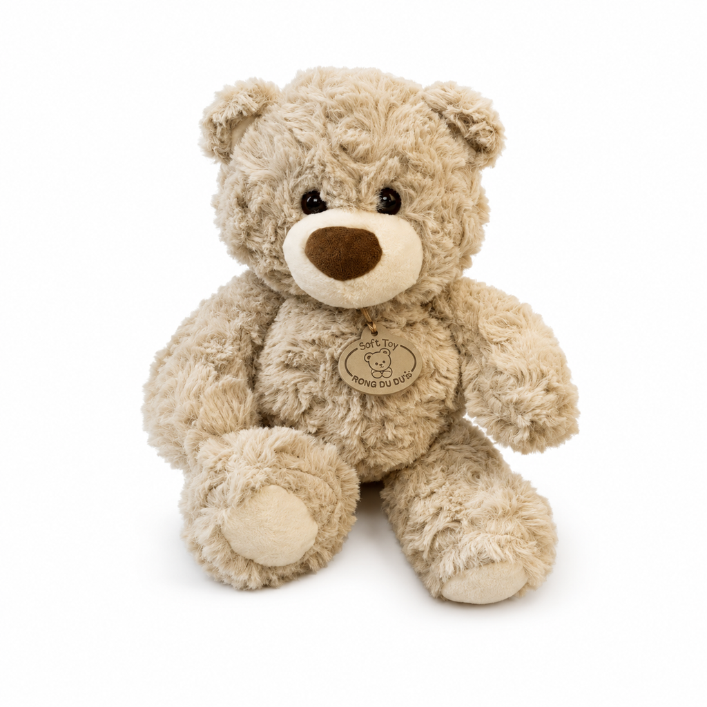 Benny The Teddy Bear