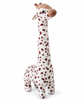Gigi the Giraffe