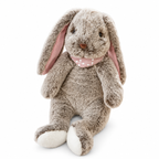 Biscuit the Bunny