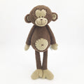 Momo The Monkey